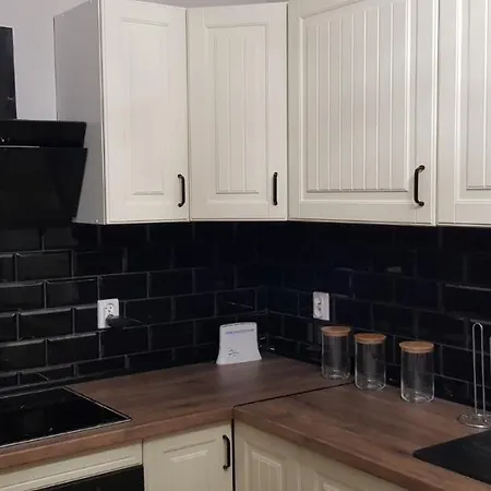 Prochnika 49 ホームステイ ウッチ