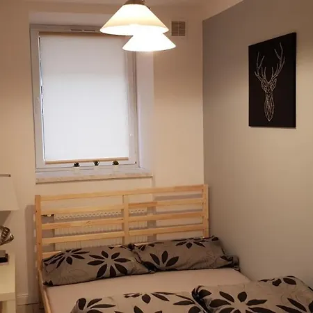 Prochnika 49 ウッチ